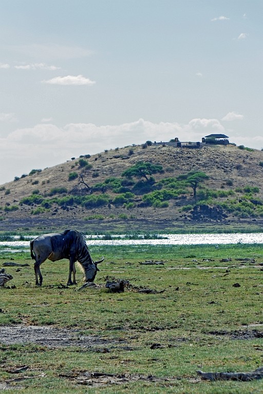 Kenia (244).jpg